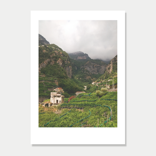 Lemon Grove in a Valley in Amalfi Italy Photographic Art Print Unframed