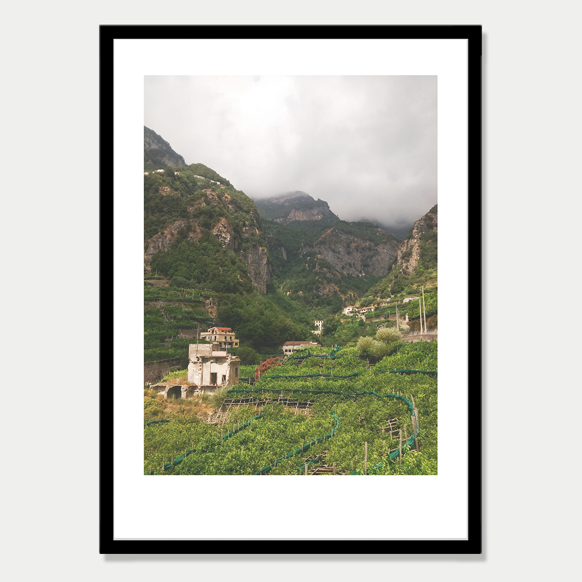 Lemon Grove in a Valley in Amalfi Italy Photographic Art Print in a Skinny Black Frame