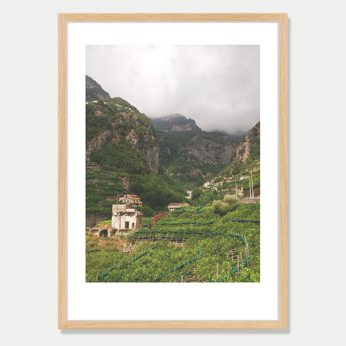 Lemon Grove in a Valley in Amalfi Italy Photographic Art Print in a Skinny Raw Frame