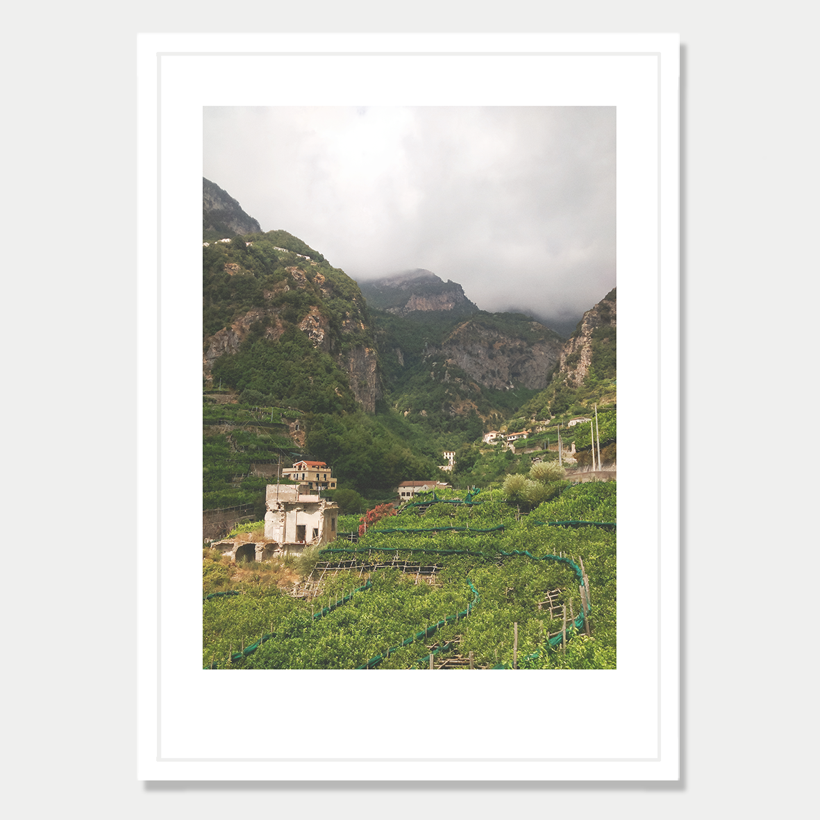 Lemon Grove in a Valley in Amalfi Italy Photographic Art Print in a Skinny White Frame