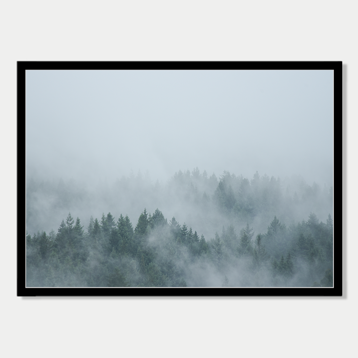 Cloud Forest Print
