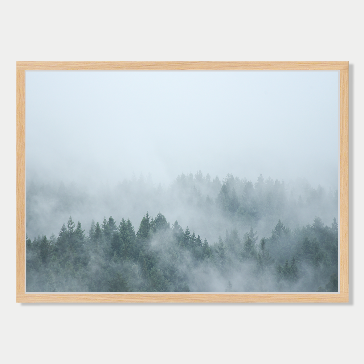 Cloud Forest Print