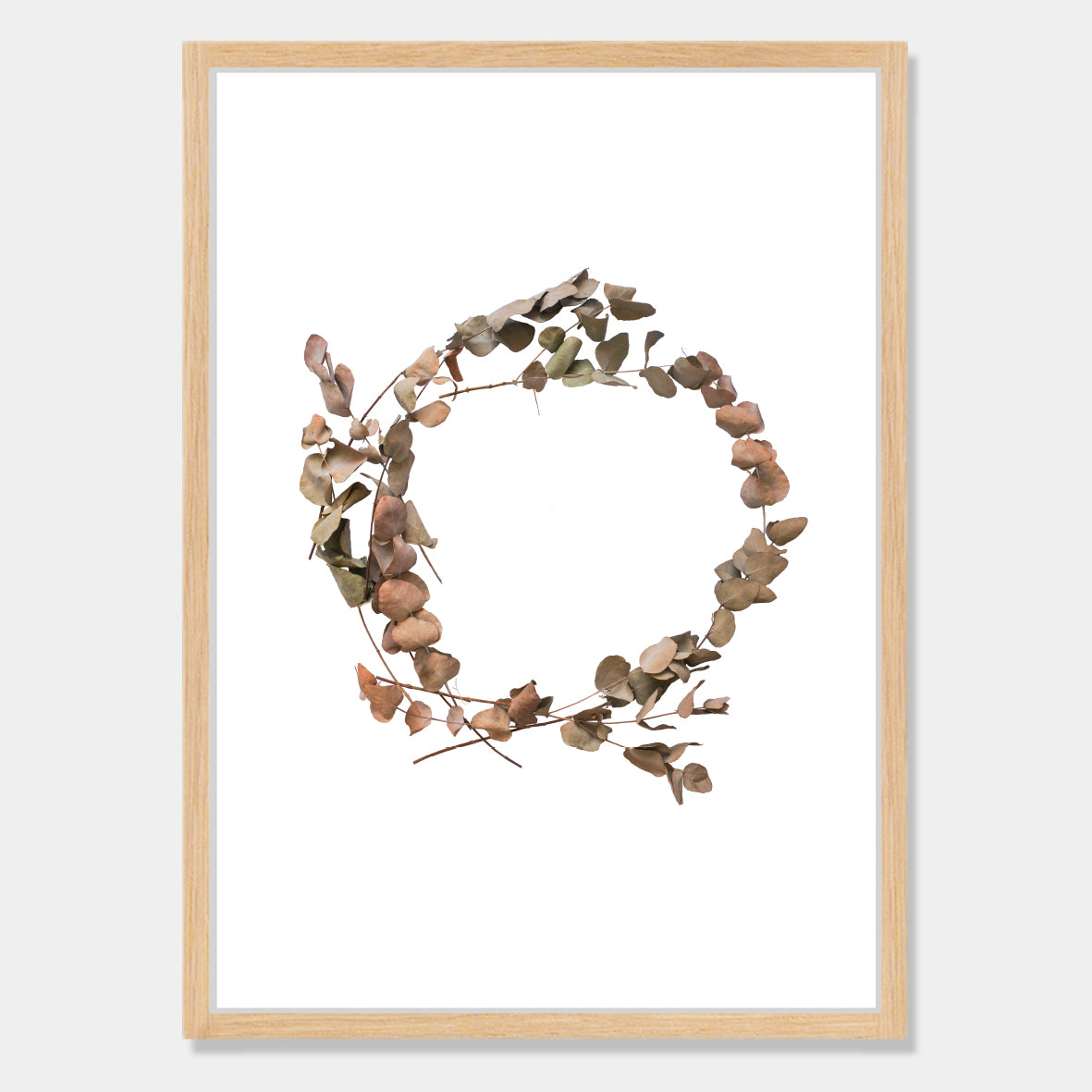 Photographic art print of dried leaves in a o shape by Bon Jung. Printed in New Zealand by endemicworld and framed in raw oak.