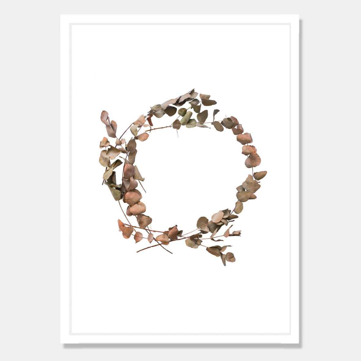 Photographic art print of dried leaves in a o shape by Bon Jung. Printed in New Zealand by endemicworld and framed in white.
