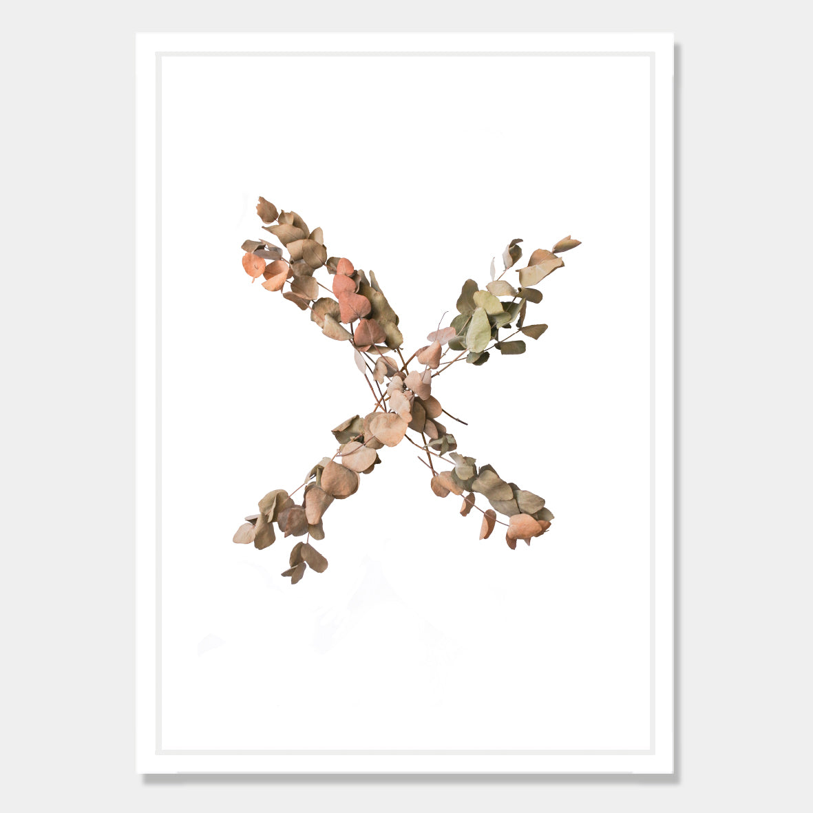 Photographic art print of dried leaves in a X shape by Bon Jung. Printed in New Zealand by endemicworld and framed in white.