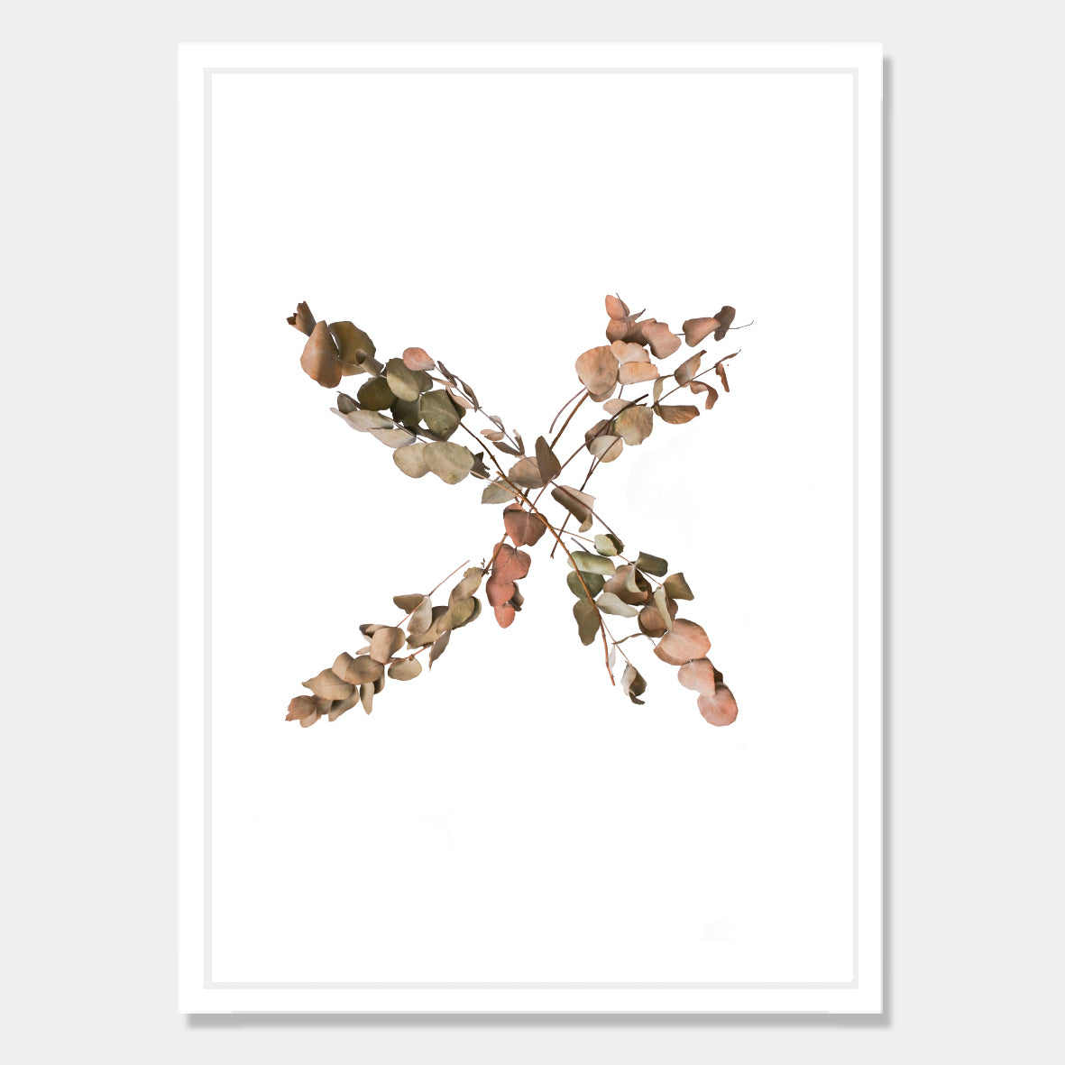 Photographic art print of dried leaves in a X shape by Bon Jung. Printed in New Zealand by endemicworld.Photographic art print of dried leaves in a X shape by Bon Jung. Printed in New Zealand by endemicworld and framed in white.