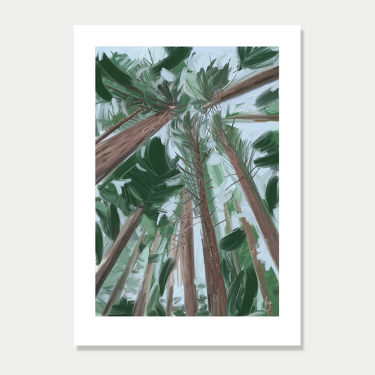 This art print is a still life of a forest scene in New Zealand, by Bon Jung. Printed in New Zealand by endemicworld.