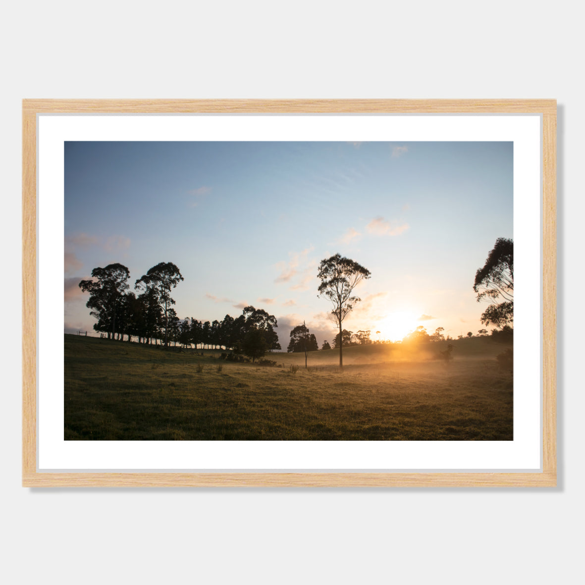 Photographic art print of sunrise in Northland, New Zealand by Chris Starkey. Printed in New Zealand by endemicworld framed in raw oak.