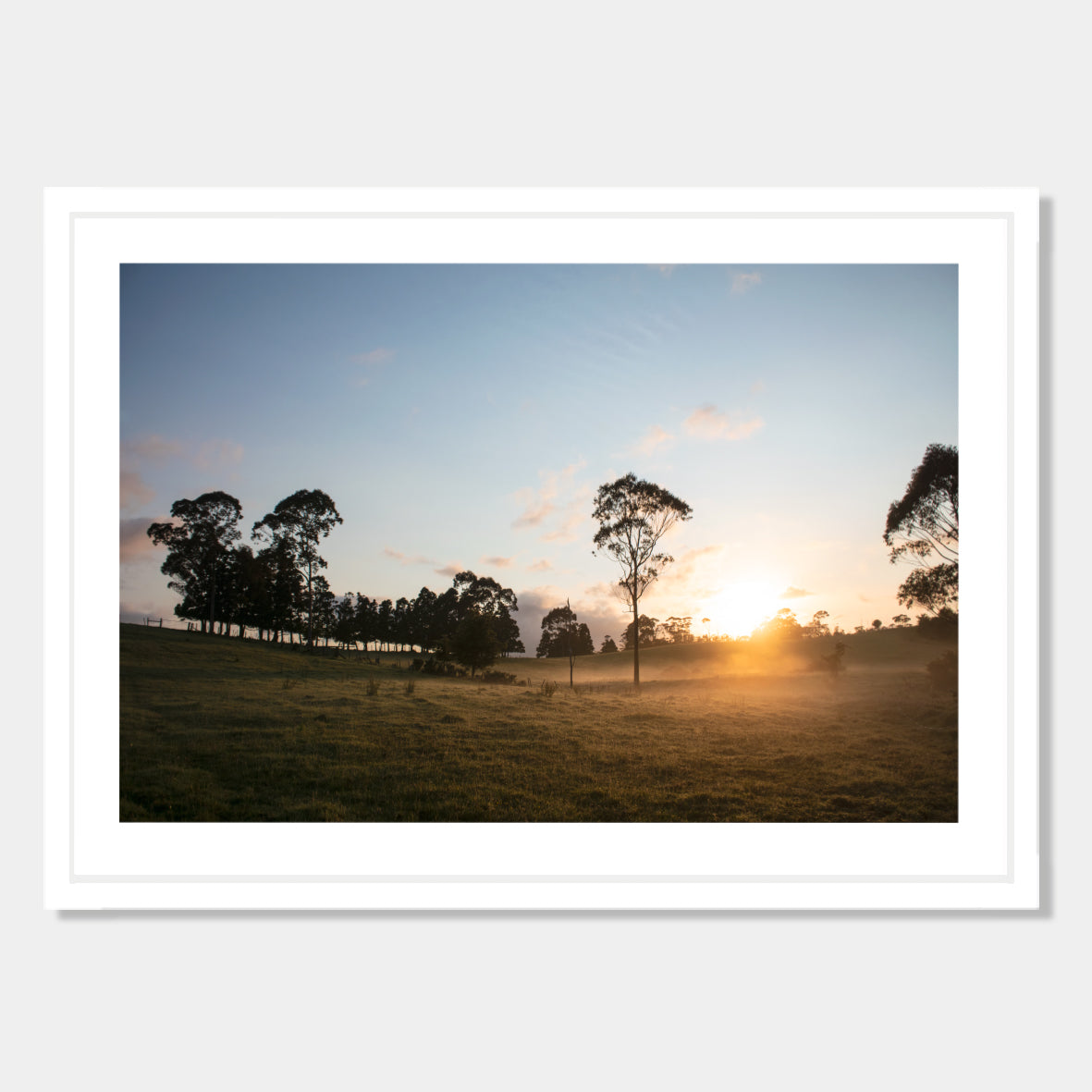 Photographic art print of sunrise in Northland, New Zealand by Chris Starkey. Printed in New Zealand by endemicworld framed in white.