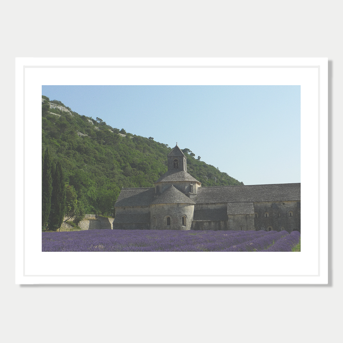 Senanque Abbey and Lavender Fields, Provence, France Photographic Art Print in a Skinny White Frame