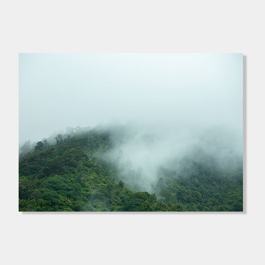 Photographic Art Print of hill side shrouded in mist, Te Aroha, New Zealand by Chris Starkey. Printed in New Zealand by endemicworld.