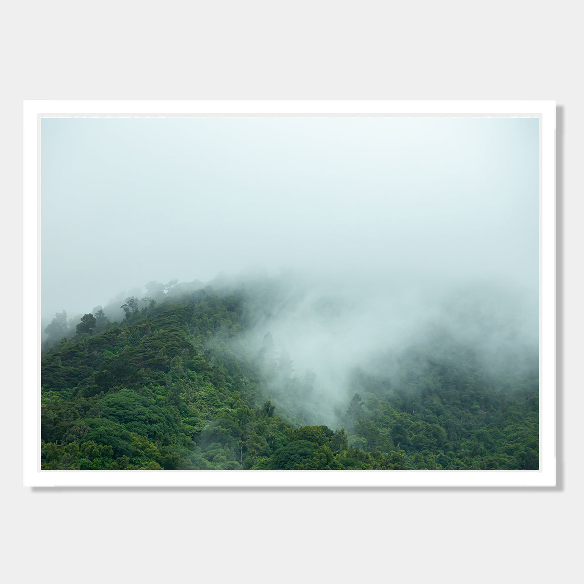 Photographic Art Print of hill side shrouded in mist, Te Aroha, New Zealand by Chris Starkey. Printed in New Zealand by endemicworld and framed in white.